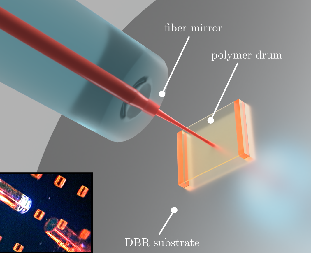 Direct laser-written optomechanical membranes in fiber Fabry-Perot cavities